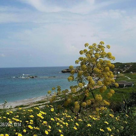 Marina Apartment B 16 - Tatlisu Trnc Akanthou Buitenkant foto